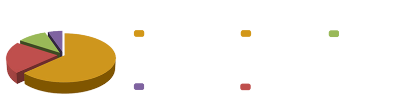 contenidos fuerteventura channel